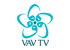 VAV TV