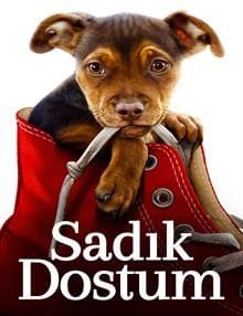 Sadık Dostum