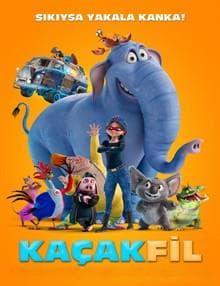 Kaçak Fil